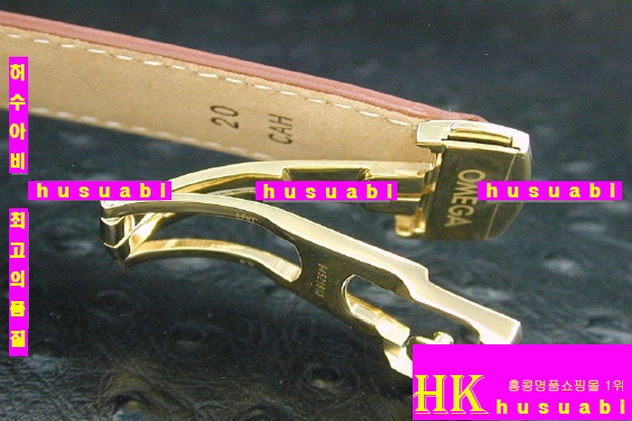 ���ް� �ð� RAILMASTER GOLDEN LIMITED EDITION