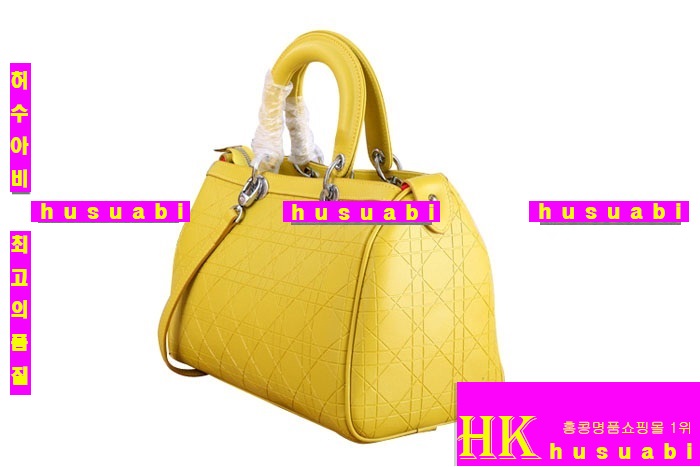 ��� ũ�ν��� DR0919-1