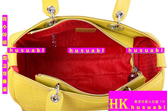 ��� ũ�ν��� DR0919-1