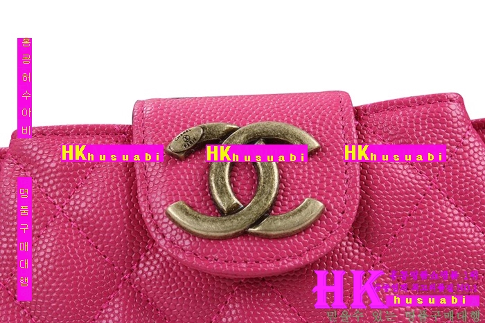 ���� ������ ü�ι� 2016�Ż�(ĳ���) CH69070-1