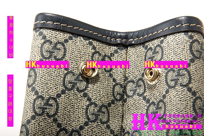 ���� ��Ʈ�� GC 223668-4