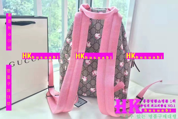 ���� ���� �Ż� G170225-30