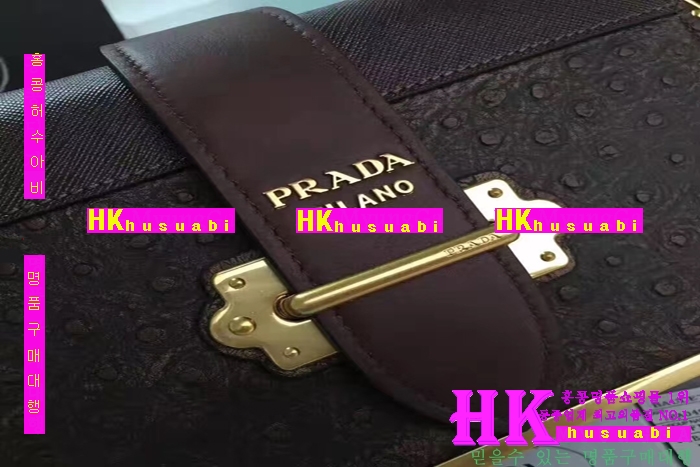 NEW ����� �Ż� ������ ũ�ν��� PA170325-15