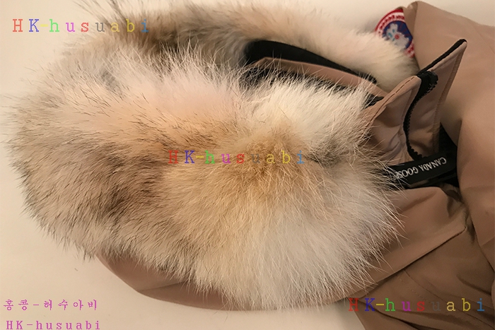 NEW 17F/W ĳ���ٱ��� ������ �е� CG587875