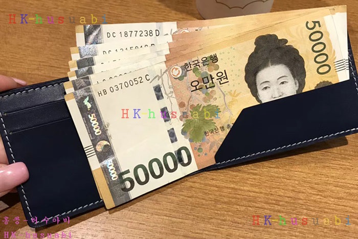 �ڹ̷��ޡ� ���ߵ� ������ �Ż� GY 95547-6(�Ͻ�ǰ��)