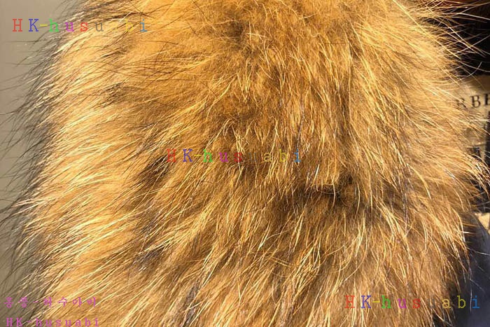 NEW ������ �������е� �Ż� BB 447003