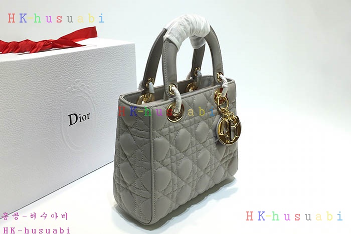 �ڹ̷��ޡ� ��� ���̵�� DR 250041