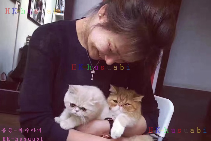 NEW Ƽ�ĴϾ��� ����� �Ż� T 111885