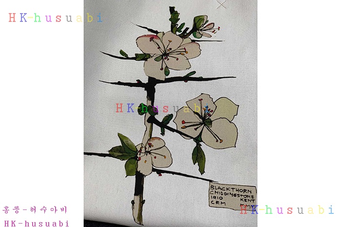 �ڹ̷��ޡ� �ο��� ��ƼĮ ��Ʈ�� LW 66018